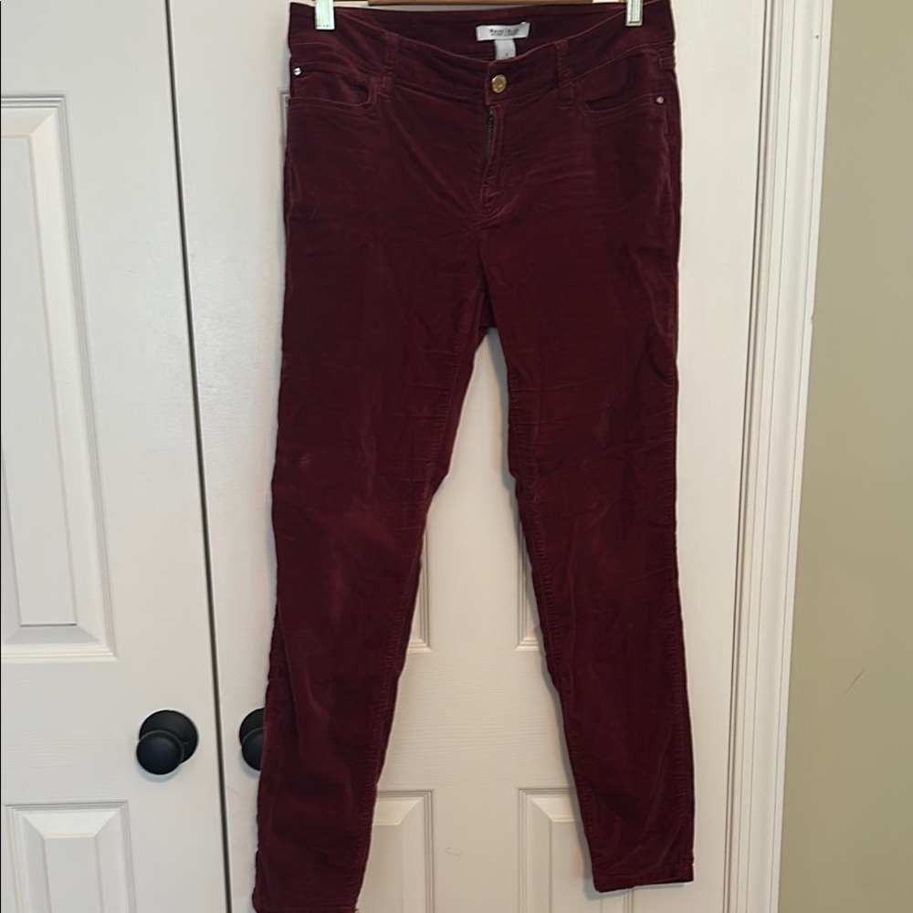 White House Black Market Wine Velvet Skinny Pants